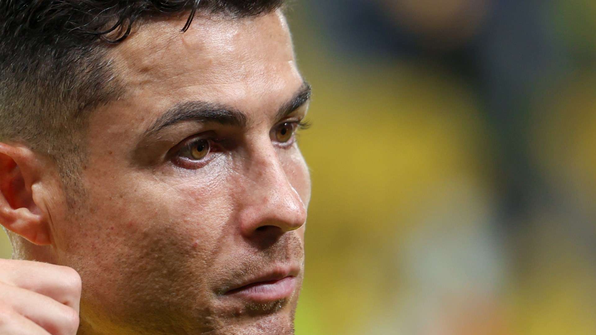 试图引进哥 试图引进哥